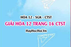Giải Hóa 12 trang 16 Chân trời sáng tạo SGK